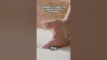 From Milk to Cheese  The Curdling Process Explained!