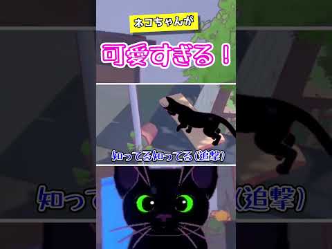 かわいいネコにデレデレな男。【Little Kitty, Big City：切り抜き】