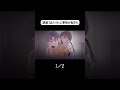 【異変】またうたに事故が起きた