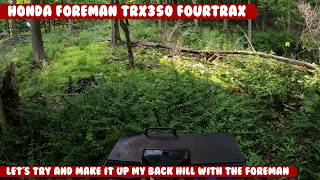 Honda Foreman Mouse proof, Try and make it up my back mountain with the Quad Lots of trees