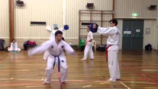 Platinum Taekwon-Do Perth - Flying Reverse Turning Kick