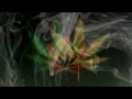 LYRICS (Rasmus Hedegaard Remix) Smoke weed everyday LYRICS