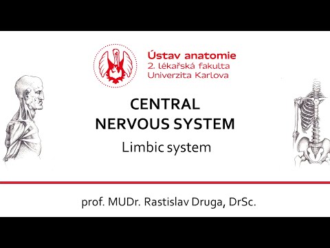 CNS - Limbic system - Druga