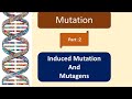 Induced mutation | Mutagens | hindi | Base analogs | DNA modifying agents | Intercalating agents