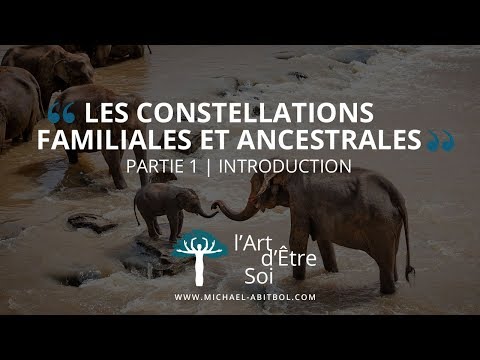 Introduction aux Constellations Familiales