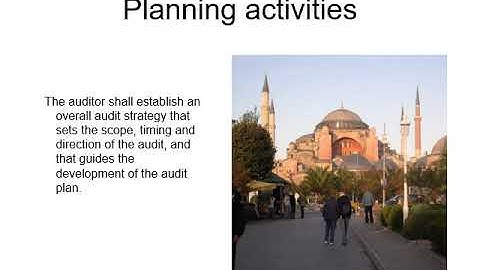 Audit planning