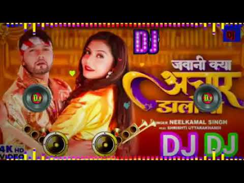 Jawani Kya Aachar Dalodi DJ Song Malai Music