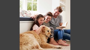 Magnificent Backdrops for Calming Down with Puppy