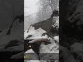 #survival #bushcraft #camping #shorts