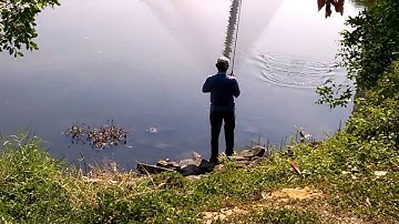 Cần thủ chuyên Tiêu cá rô phi