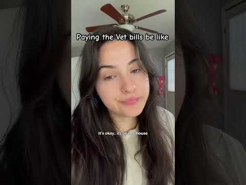 Paying the Vet