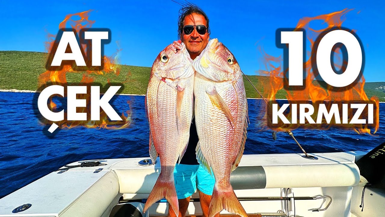 Дентекс, Морской лещ, Порги... Безумие красной рыбы