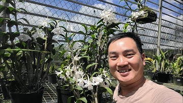 Nhiều người chê nhưng mình thấy đẹp! Vậy là đủ.