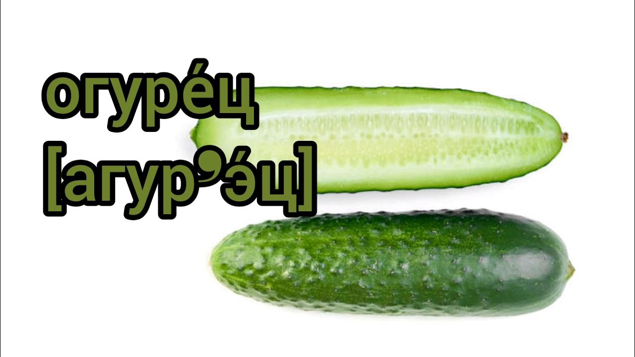 Палитра огурца. Огурец по испански. Огурец по испански. Огурец по испански. Что такое cucumber на английском.