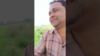 Short video. Vlog. Natural beauty. Green vlog video. Shorts 