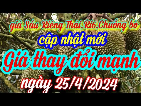 giá sầu riêng mới ngày 25/4/2024