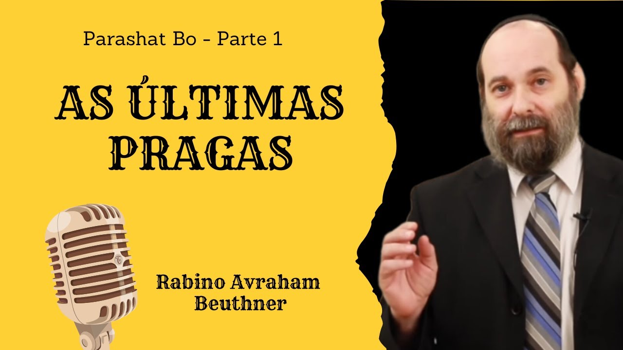 AS ÚLTIMAS PRAGAS - Parashat Bo (1)