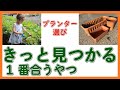 【家庭菜園】もう迷わない『プランター選び』サイズと素材について徹底解説