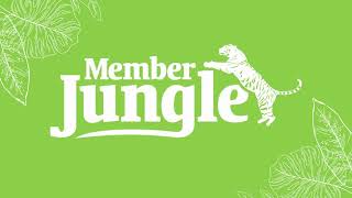 Managing your Car Database Using Member Jungle Datasets screenshot 1