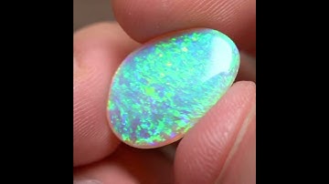 6.21cts, Perferct Shell Fossil Australian Crystal Opal #gemstone #blackopal #gem #jewelry