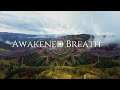 15 minute morning breathwork  optimize your energy