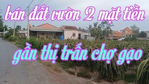 Ms75 bán đất vườn đẹp giá 1,5 tỷ 1000 m2 gần ủy ban gần thị trấn chợ gạo tiền Giang