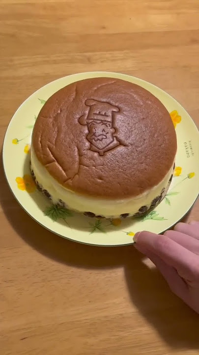 Is Osakaβs Jiggly Cheesecake ACTUALLY worth it? #japan #japanesefood #osaka #cheesecake