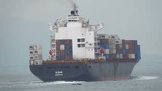 Details Container Ship《ULSAN》Passing  the Tsing Ma Bridge in HK 20260910_C0008 News