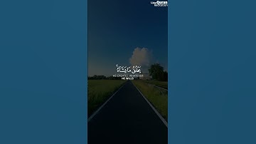 وَلِلَّهِ مُلْكُ السَّمَوَاتِ وَالْأَرْضِ | الشيخ عمير شميم | سورة المائدة #قرآن