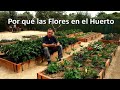 Beneficios de las Flores para el Huerto || El Huerto de Silverio