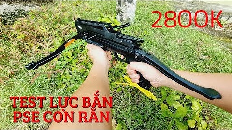 TEST LỰC CỦA NỎ SĂN PSE CON RẮN BĂN BI SẮT VÀ MŨI TÊN