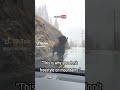 Mountains  1 Buffalo confidence  0 Bro tried to parkour a whole ecosystem and found out instantly 💀