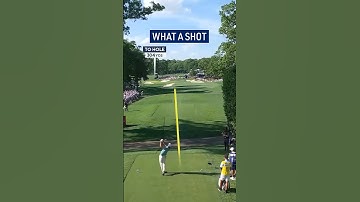 SUPER Scottie Scheffler with an unreal shot 😱