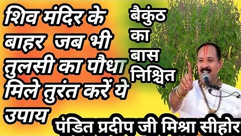 शिव मंदिर के बाहर  जब भी तुलसी का पौधा दिखे तो तुरंत करें  ये काम। पंडित #प्रदीप जी मिश्रा #सीहोर