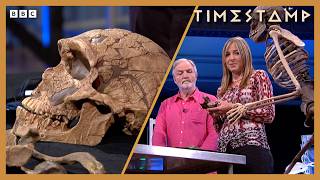 Professor Alice Roberts takes a closer look at prehistoric bones | Compilation | BBC Timestamp
