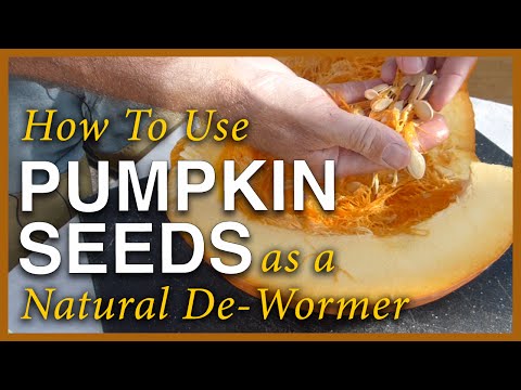 Video: Pumpkin Seeds From Worms - Application And Recipes