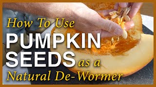 Pumpkin Season  Using The Seeds As A Dewormer