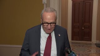 Famous Chuck Schumer says GOP too scared to negotiate Wealth