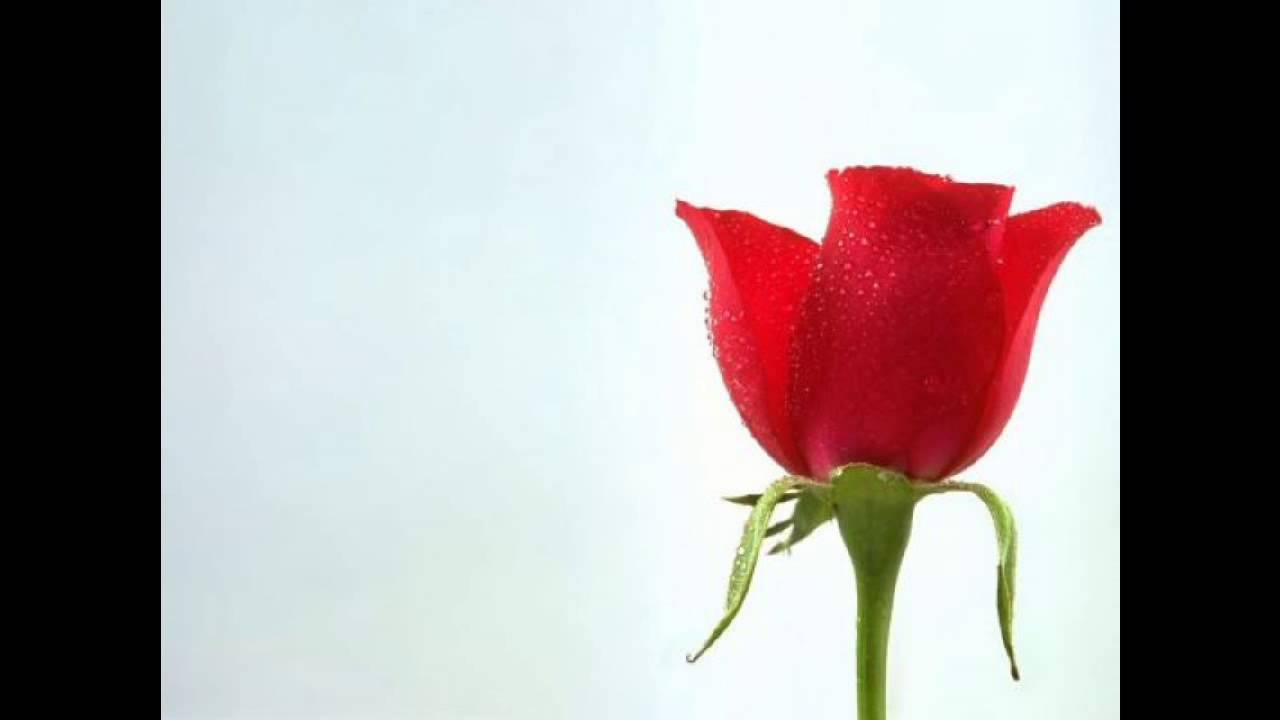 Красивый стих для женщины просто так