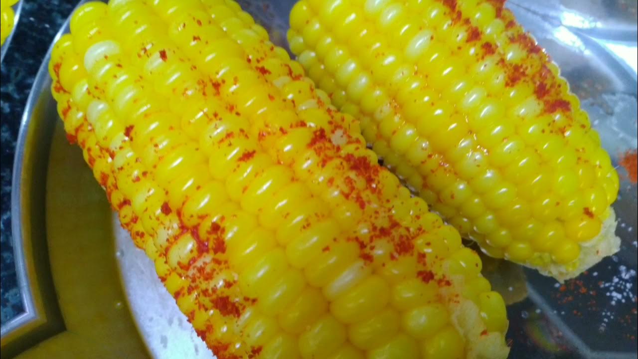 Sweet corn recipeHow to cook sweet corn at homeHow to boil sweet corn YouTube