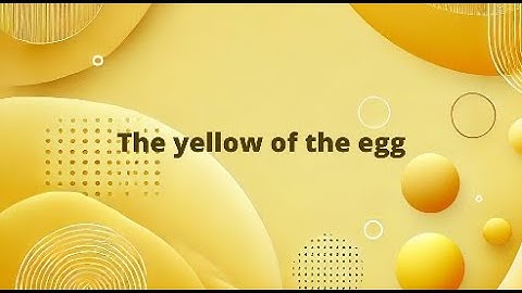 theyellowoftheegg-Maze-Runner-FoP2025