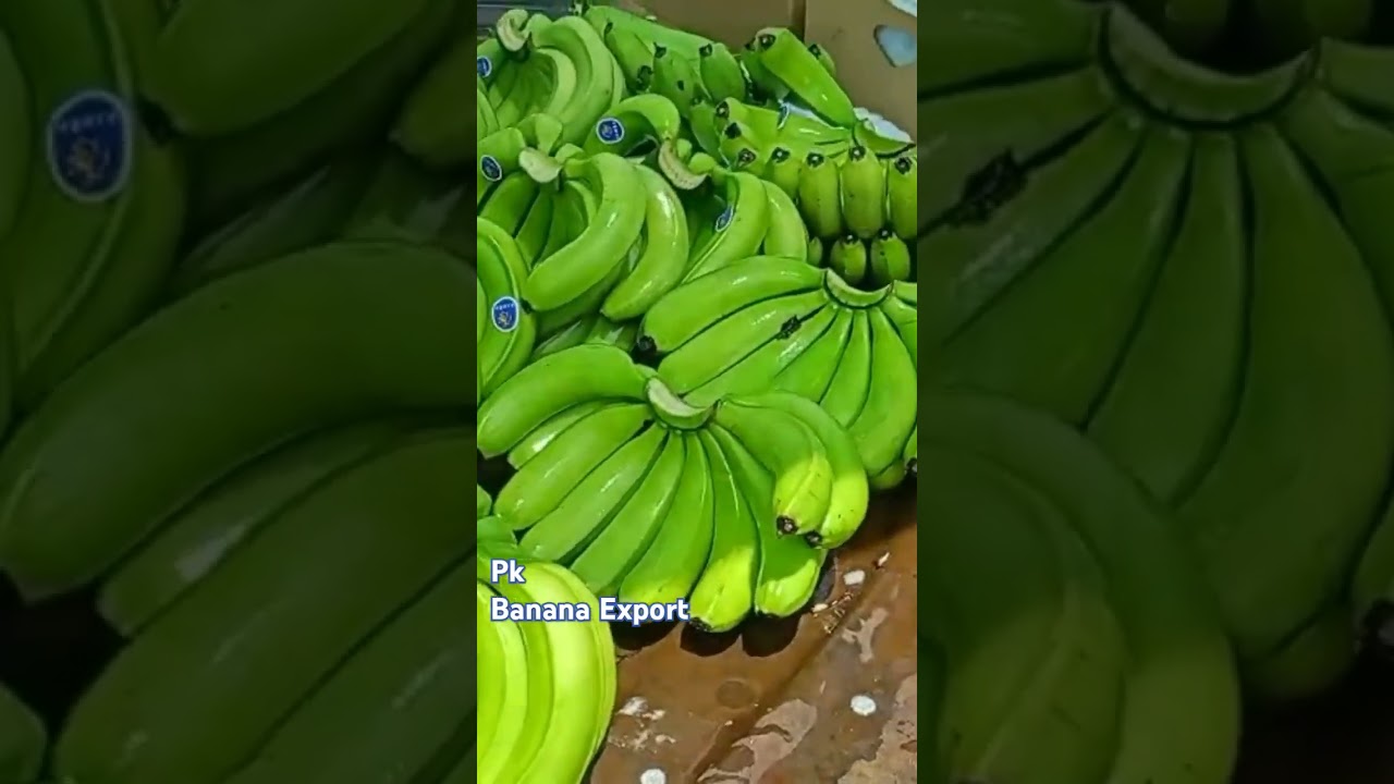 pawan kahar Lkh fruit Merchant All fruits Supliyar 