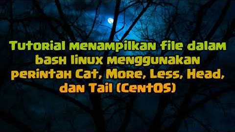 Tutorial menggunakan perintah dasar untuk membuka file (CentOS Bash Linux)