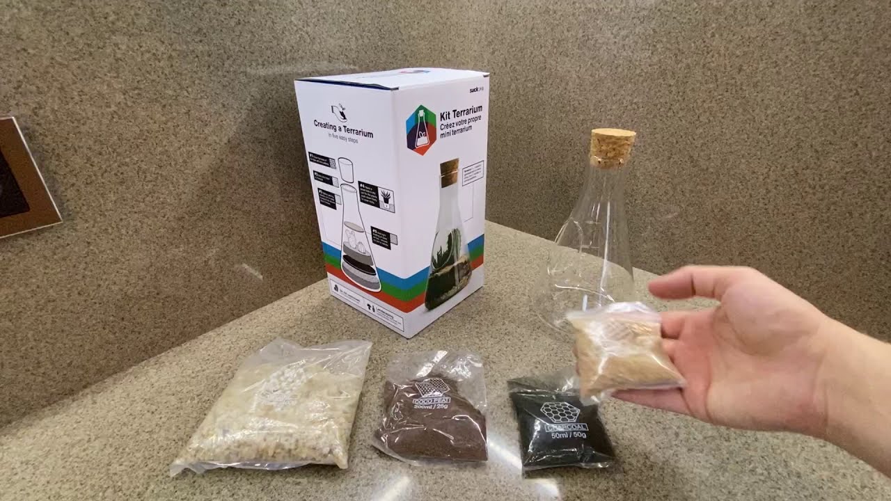 SUCK UK CHEMISTRY флорариум