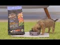 Merrick Grain-Free Dog Food | 2018