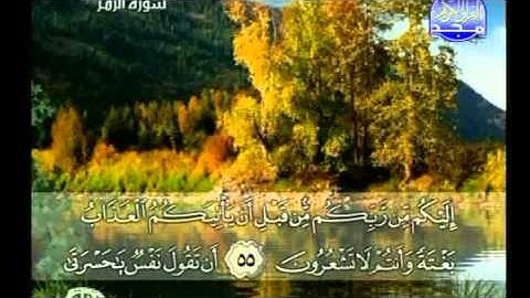 اواخر سورة الزمر بصوت القارئ عمرو جادو Al Majd 3 TV