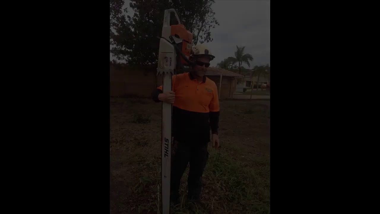 Tree Loppers Kingston Brisbane Is Here today Tree Loppers Kingston