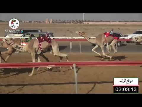 الشوط 15 زاهي ل محمد سعيد عبيد المزروعي 4 30 شارة الاتحاد 2021 2 7 سويحان حقايق