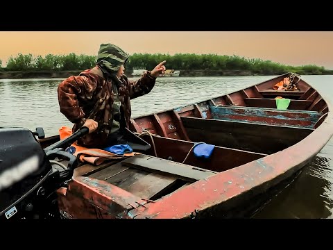 Как добывают ряпушку или маленького муксуна на Севере?  Звезда рыбака 2022