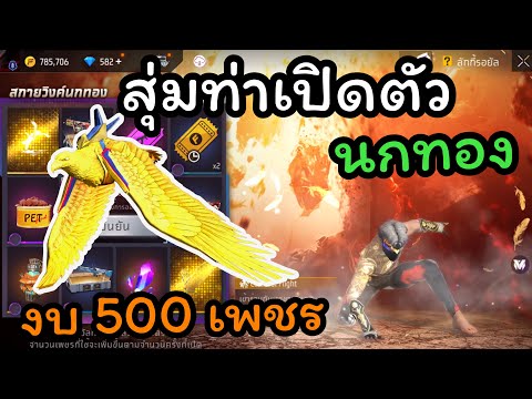 Free Fire สุ่มท่าเปิดตัวนกทอง+สกายวิงค์🕊 งบ 500 บาท จะได้มั้ย ? 